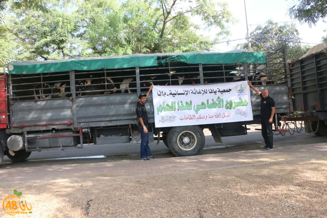 jam3iya yaffa ada73u (7).jpg